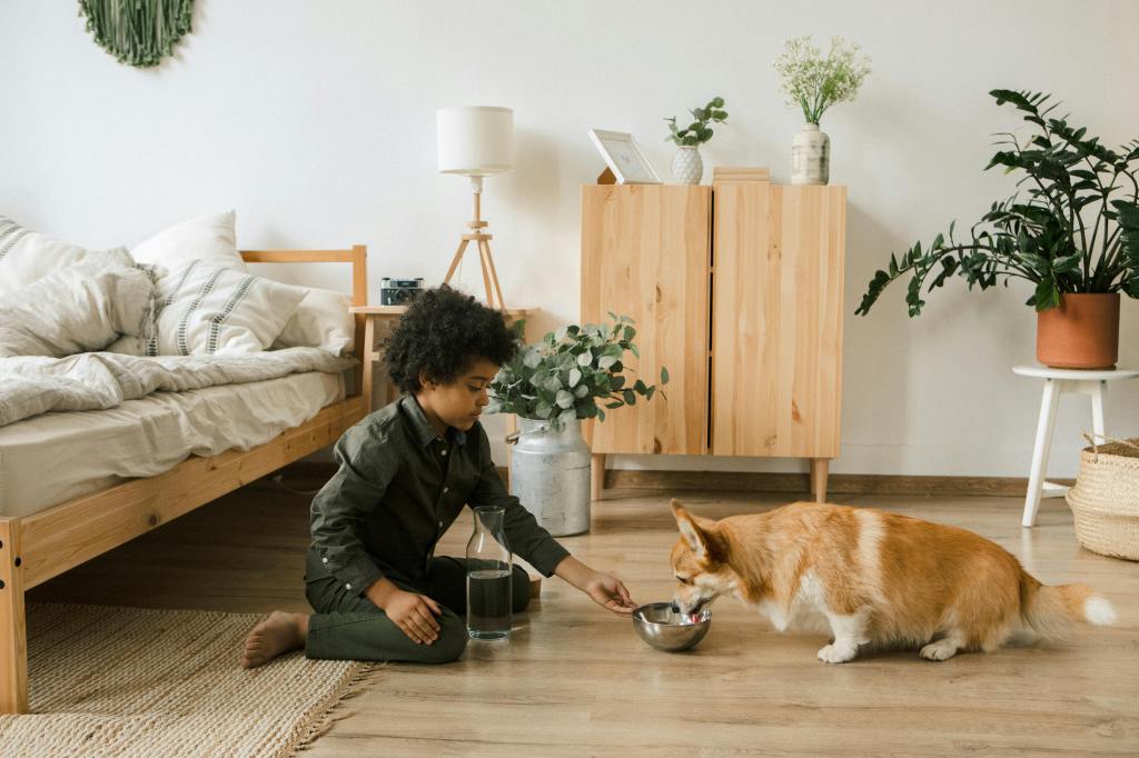 Revolutionizing Pet Care: The Online Shopping Effect